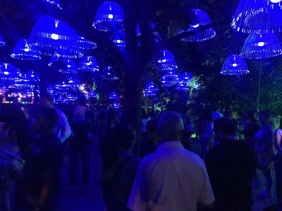 Medellin Christmas Lights Tour - Who should book this Medellin Christmas Lights Tour