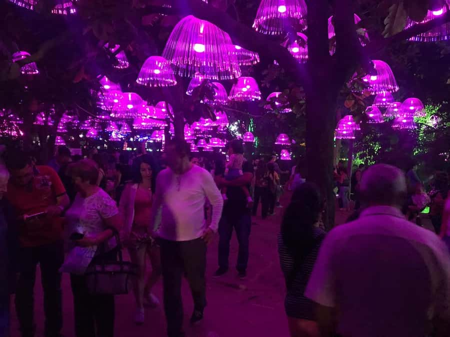 Medellin Christmas Lights Tour - Medellin’s Christmas lights in 4 hours, and why it works
