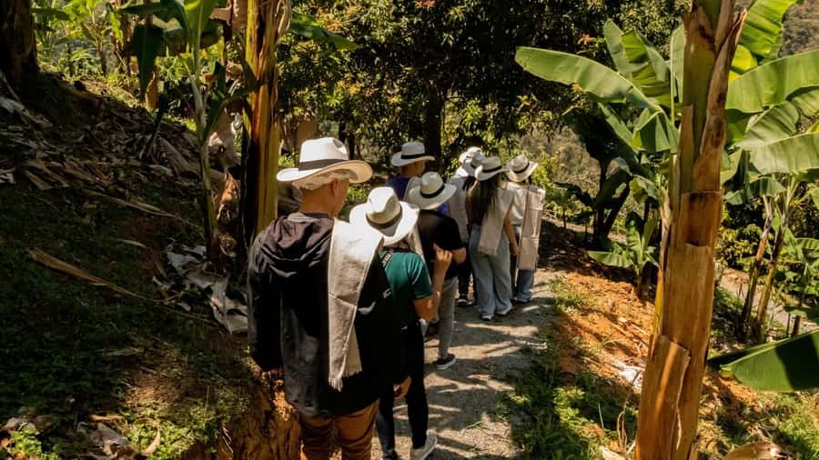 Medellin: Coffee and fruit tour - Key things to know before you go