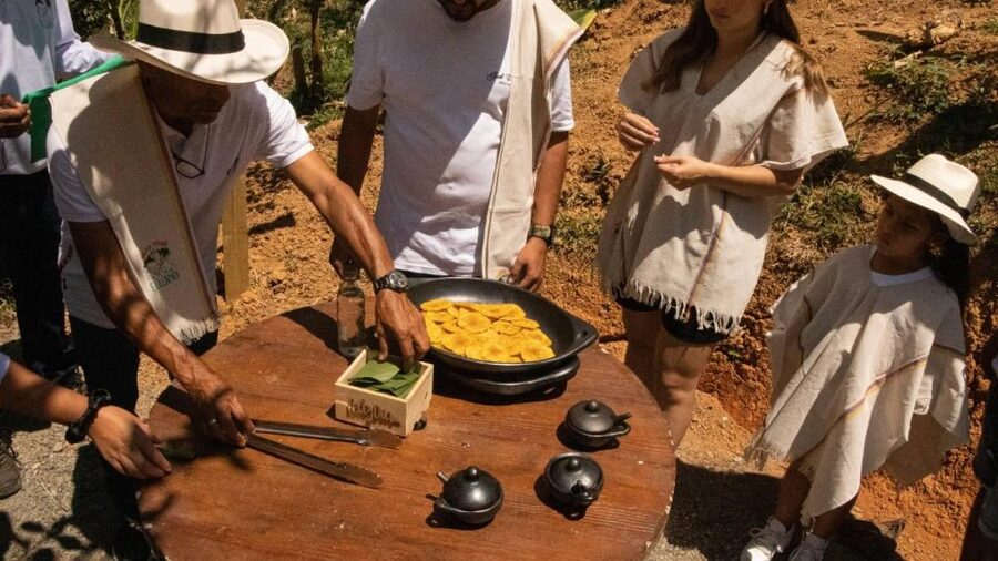 Medellin: Coffee and fruit tour - Price and value: what $67 buys you here