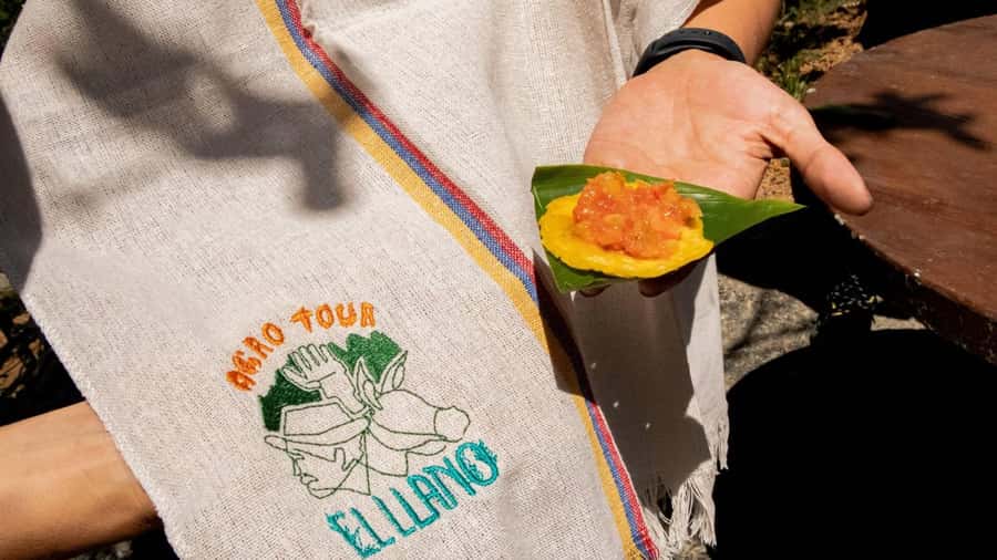 Medellin: Coffee and fruit tour - The five farm stations: how the day unfolds stop by stop