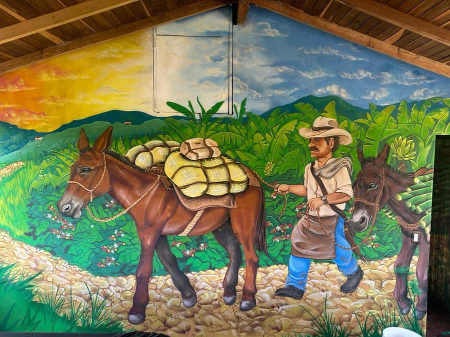 Medellin: Coffee and fruit tour - Coffee processing and cupping: what you will learn and taste