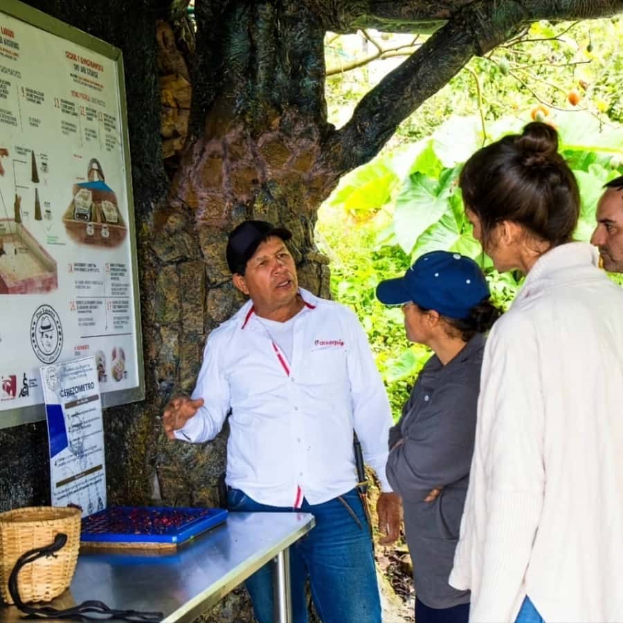 Medellin: Coffee Farm and Barista Workshop Experience - The 3-hour barista workshop: learn the variables that change everything