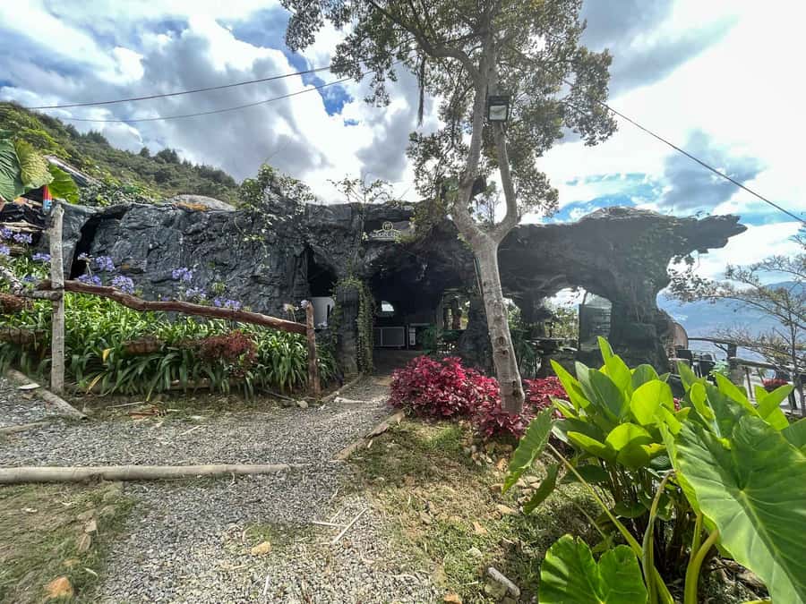 Medellin: Coffee Farm and Barista Workshop Experience - Price and value: is $66 worth it?