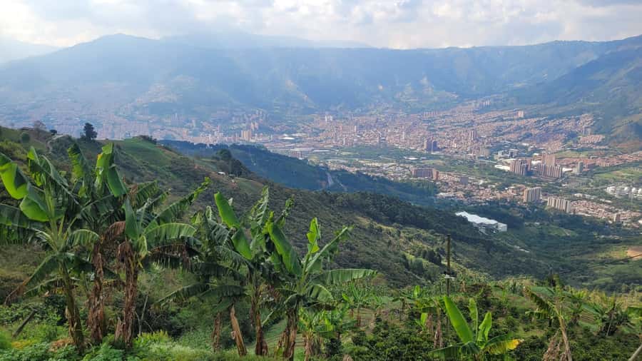 Medellin: Coffee Farm Tour & Spa with Overnight Glamping - Key highlights at a glance