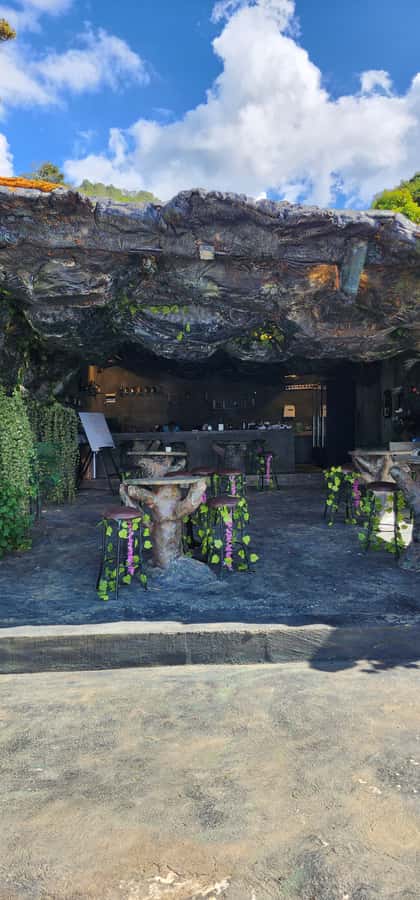 Medellin: Coffee Farm Tour & Spa with Overnight Glamping - Who should book this coffee farm and spa overnight
