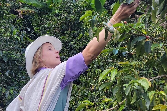 Medellin Coffee Farm Tour with Cable Car Ride - Stop 3: La Sierra Walk, Murals, and Viewpoints from the East Side