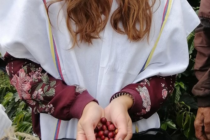 Medellin Coffee Farm Tour with Cable Car Ride - What You’ll Taste: Coffee, Tea, and the Steps That Explain It