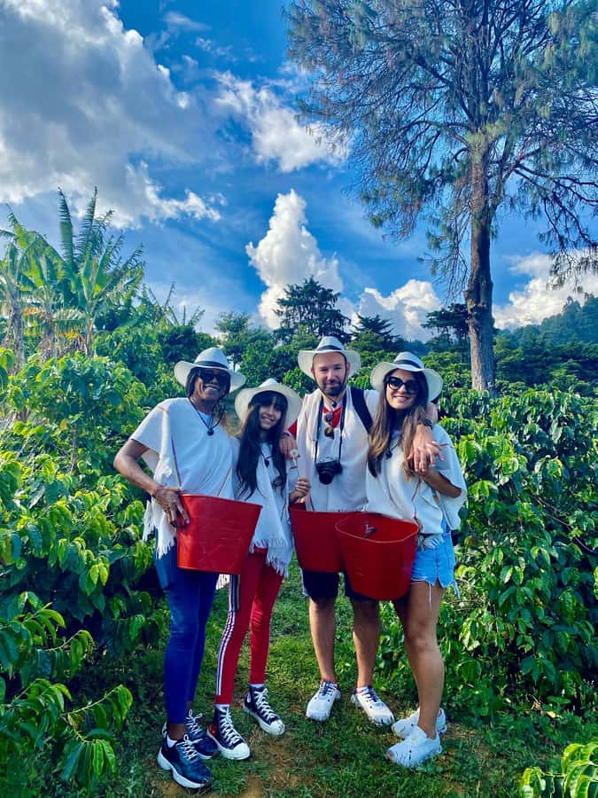 Medellín Coffee Farm Tour with Trolley and Cable Car Ride - Tram, Cable Car, and the City-to-Farm Turn