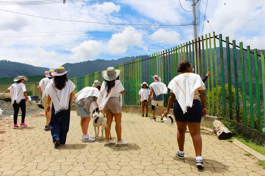 Medellín Coffee Farm Tour with Trolley and Cable Car Ride - Should You Book This Urban Coffee Farm Tour?