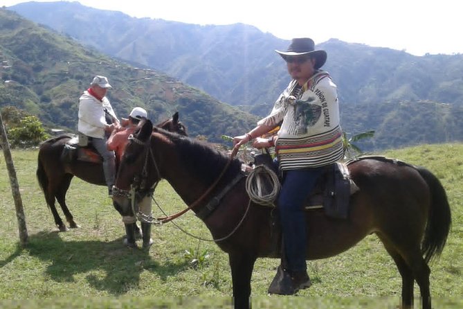 Medellin: coffee tour and paisa experience - Medellin Coffee Tour in Palmitas: A 5-Hour Day With a Real Payoff