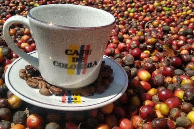 Medellin: coffee tour and paisa experience - Getting There: The 9:00 AM Pickup and Ride Out of El Poblado