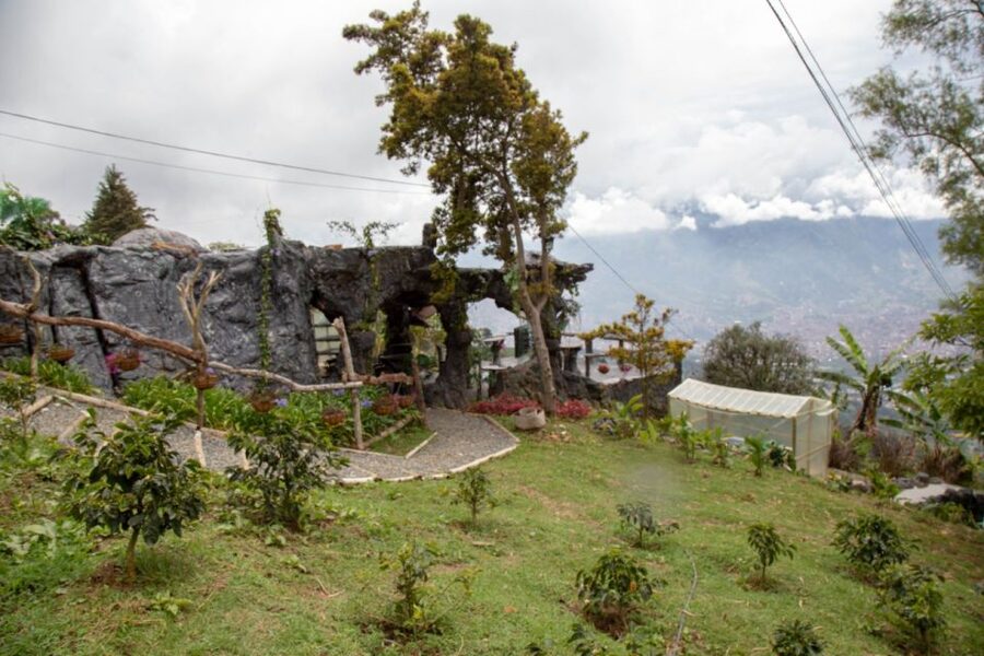 Medellin: Coffee Tour and Wellness Spa - Price and Value: Is $88 a Good Deal for a Coffee Spa Day?