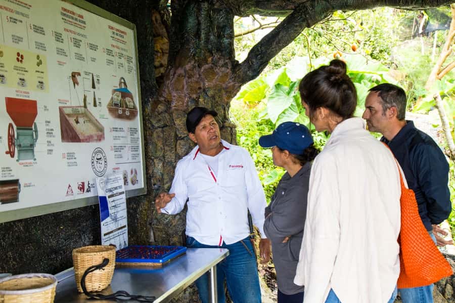 Medellin: Coffee Tour and Wellness Spa - Who This Tour Suits Best, and Who Might Skip It