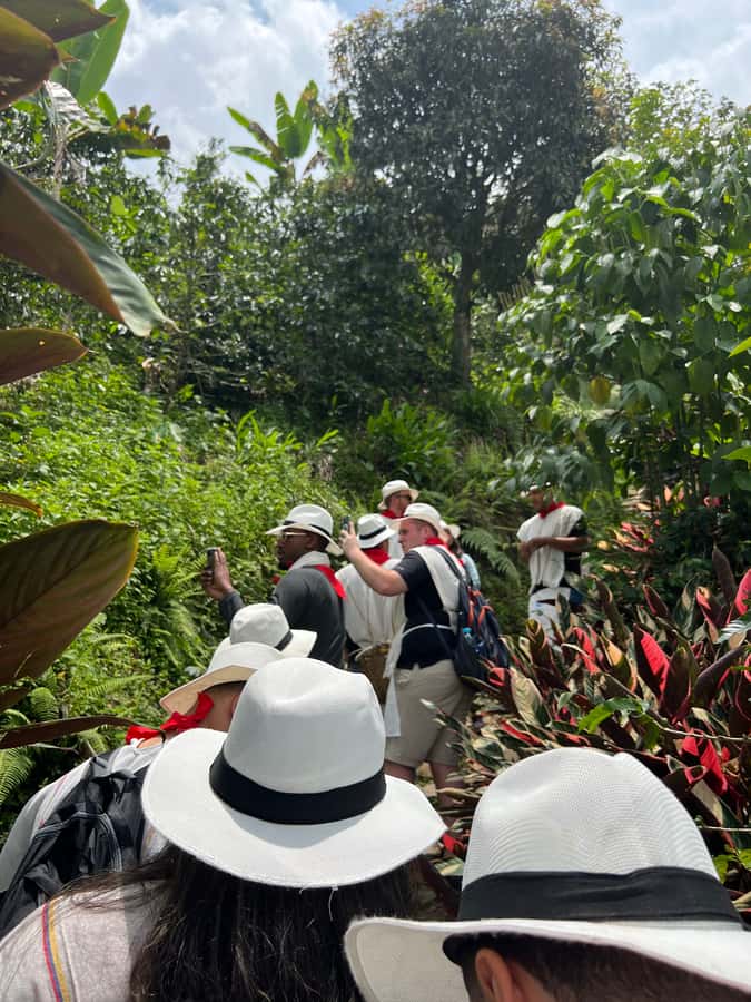 Medellín: Coffee Tour Experience at a Coffee Farm - Meeting a Coffee Master and Getting Colombia’s Andean Coffee Context