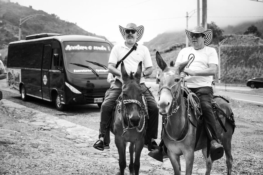 Medellin: Coffee Tour, Horseback Arrival, and Sugar Cane - Who Should Book This Super Coffee Tour
