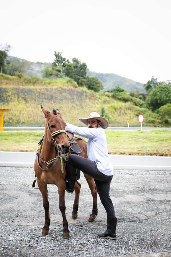 Medellin: Coffee Tour, Horseback Arrival, and Sugar Cane - Coffee Tour With Christian: From Seed Planting to Tasting