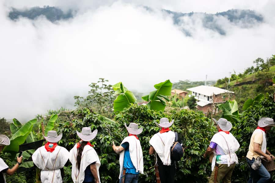 Medellin: Coffee Tour, Horseback Arrival, and Sugar Cane - Guatapé Photo Time: End the Day in Colombia’s Most Colorful Town