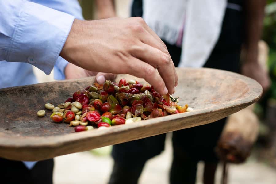 Medellin: Coffee Tour, Horseback Arrival, and Sugar Cane - Price and Value: Is $76 Worth a 6-Hour Day?