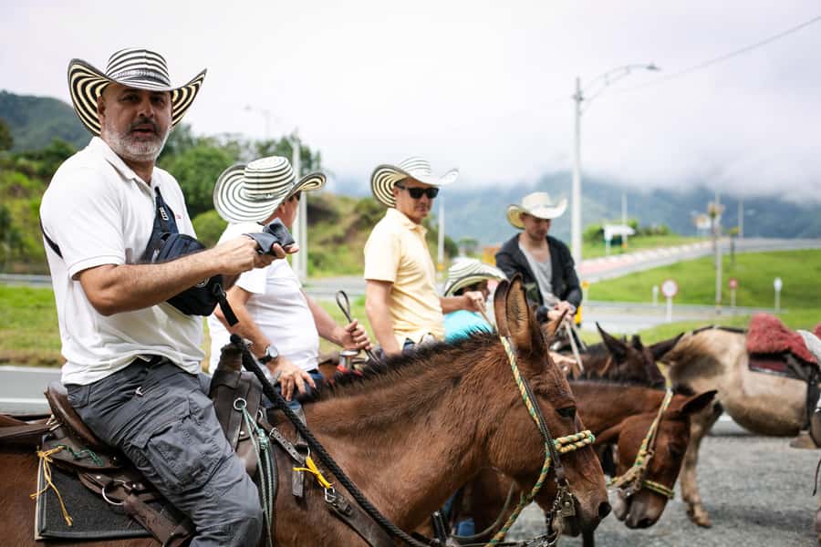 Medellin: Coffee Tour, Horseback Arrival, and Sugar Cane - From El Poblado to Western Antioquia: The Ride and Quick Stop