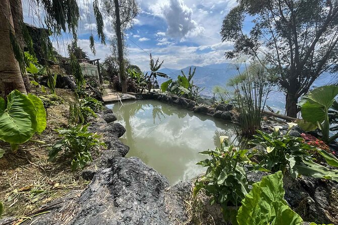 Medellin Coffee Tour & Spa - Arví Park and the ride in, why it matters