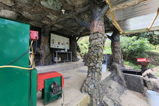 Medellin Coffee Tour & Spa - Price and value: is $127 worth it for 3.5 hours in Medellín?