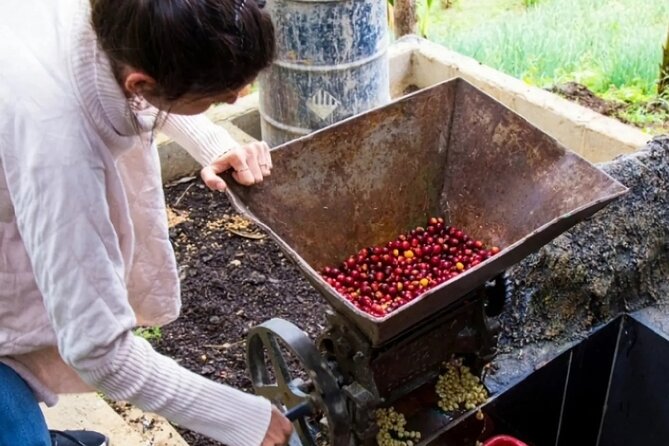 Medellin Coffee Tour & Spa - Who this tour fits best, and who should skip it