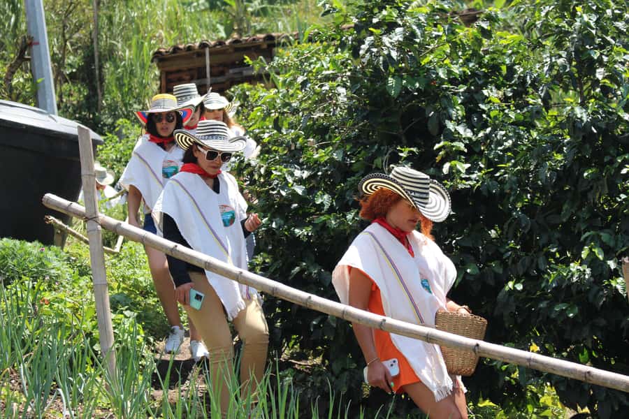 Medellin: Coffee Tour with Hotel Transfers and Meals - Key things to know before you go