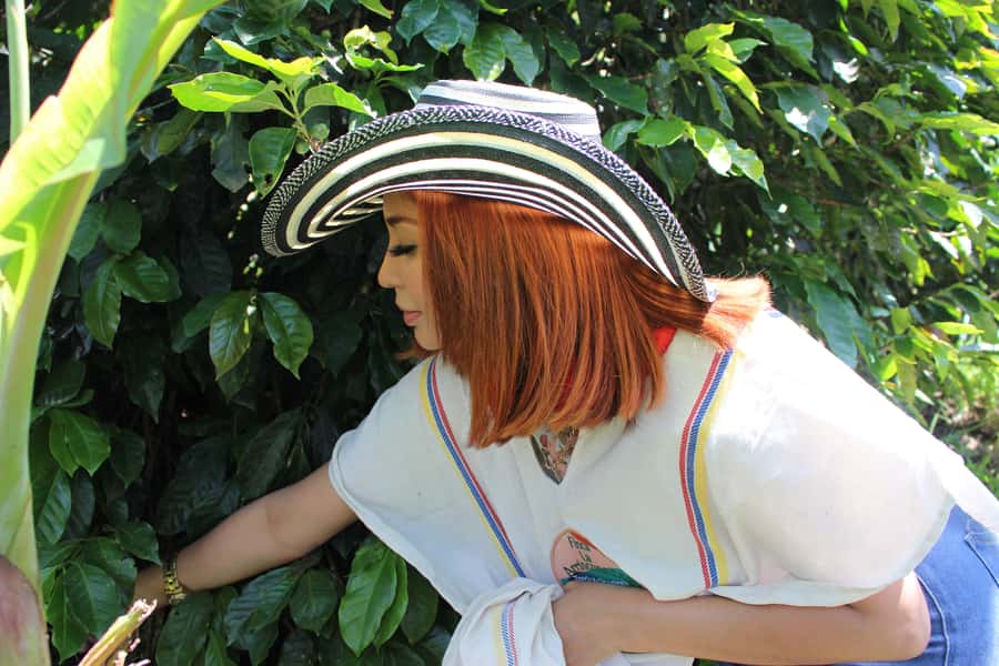 Medellin: Coffee Tour with Hotel Transfers and Meals - The real value of $70: transport, meals, attire, and tasting all included