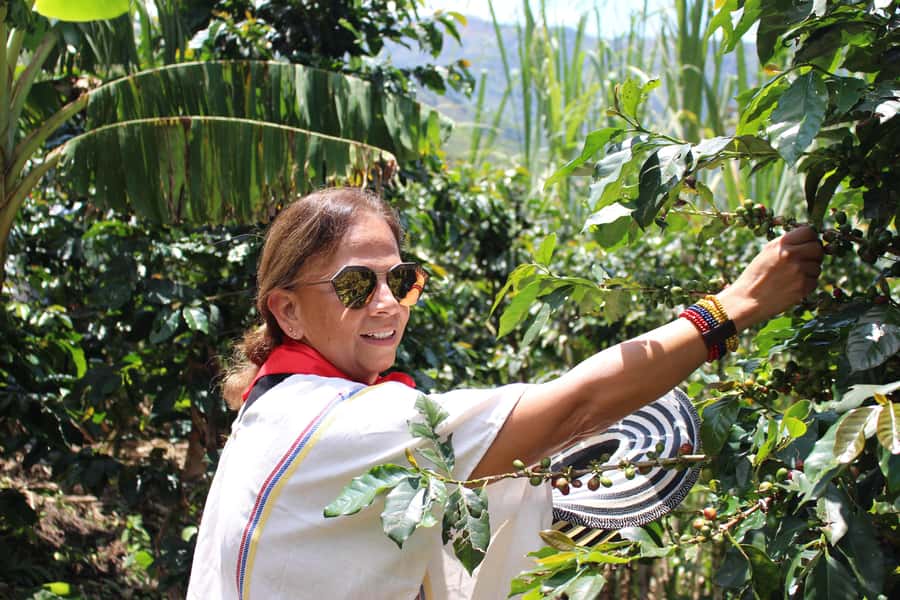Medellin: Coffee Tour with Hotel Transfers and Meals - A 9:00am mountain pickup that actually gets you out of town