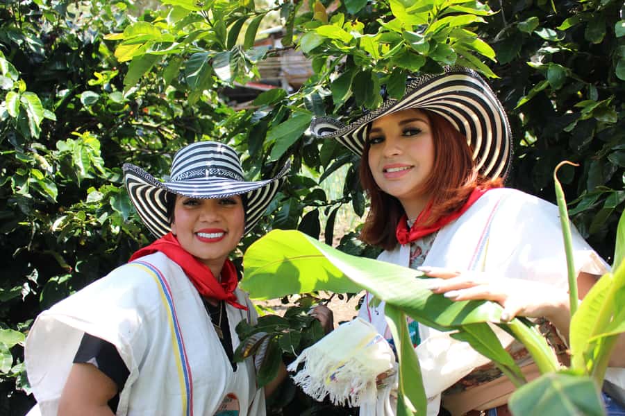 Medellin: Coffee Tour with Hotel Transfers and Meals - Tour of coffee, plus panela, with the focus on how farm life works