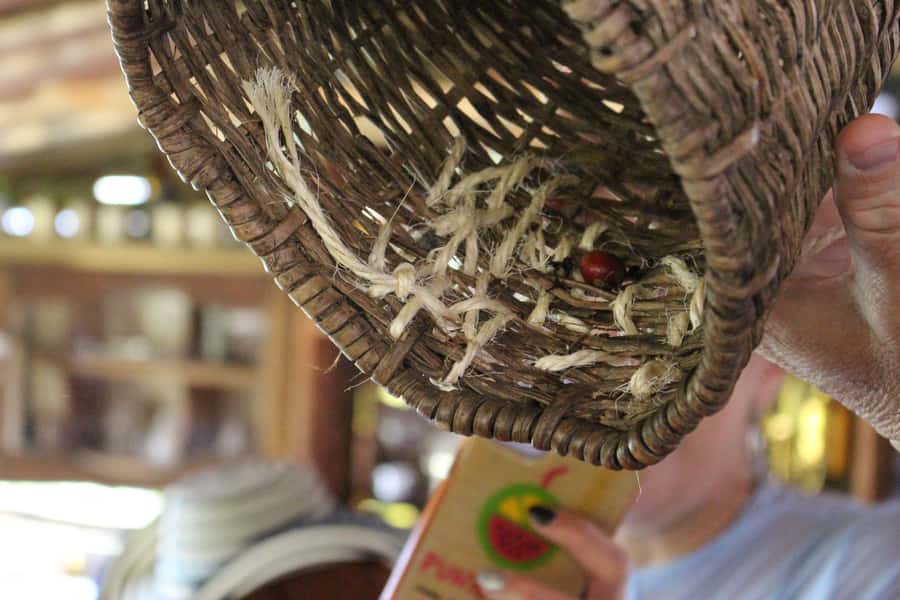Medellin: Coffee Tour with Hotel Transfers and Meals - Coffee tasting: from seeds to cups, with choices in brewing methods