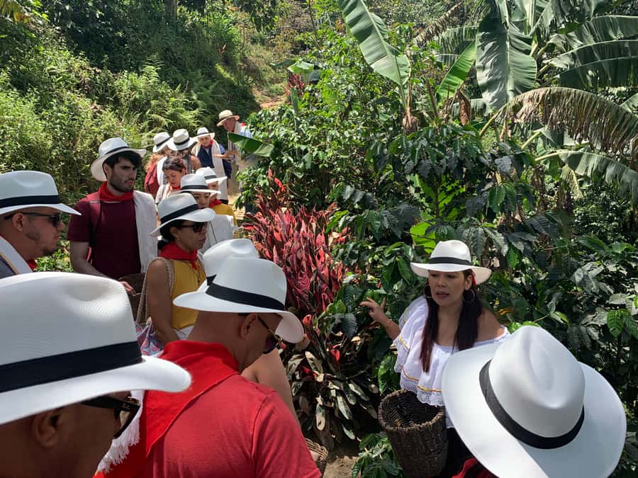 Medellin: Coffee Tour with Transport, Snacks and Tastings - The walk, the views, and why good shoes matter