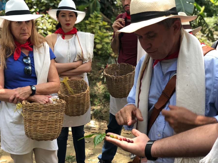 Medellin: Coffee Tour with Transport, Snacks and Tastings - Lunch: a hearty paisa meal, then a brew class