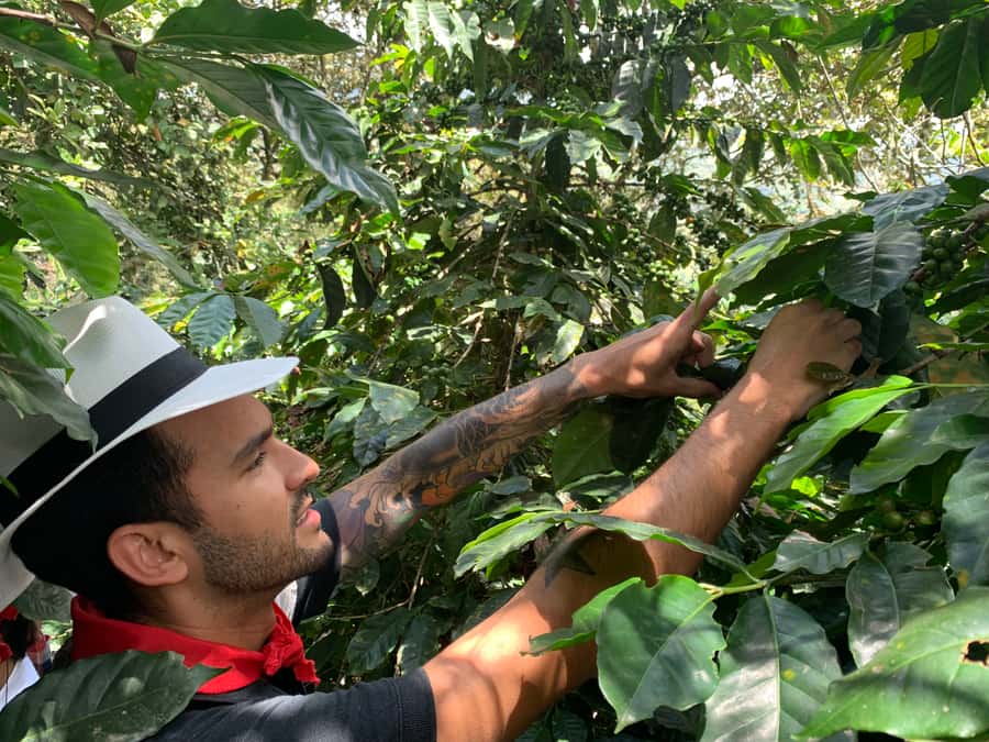 Medellin: Coffee Tour with Transport, Snacks and Tastings - Optional horseback ride for 45 minutes of farm views
