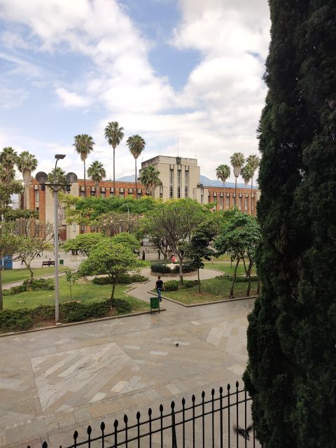 Medellin downtown: History and culture through fun stories - Group size, timing, and languages that make the history easier