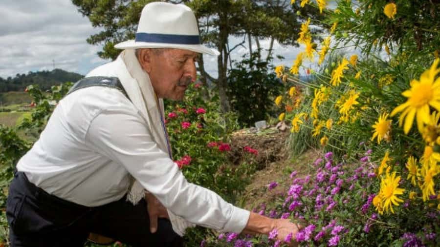 Medellín: Flower Farm & Silletero History Tour - Key points at a glance