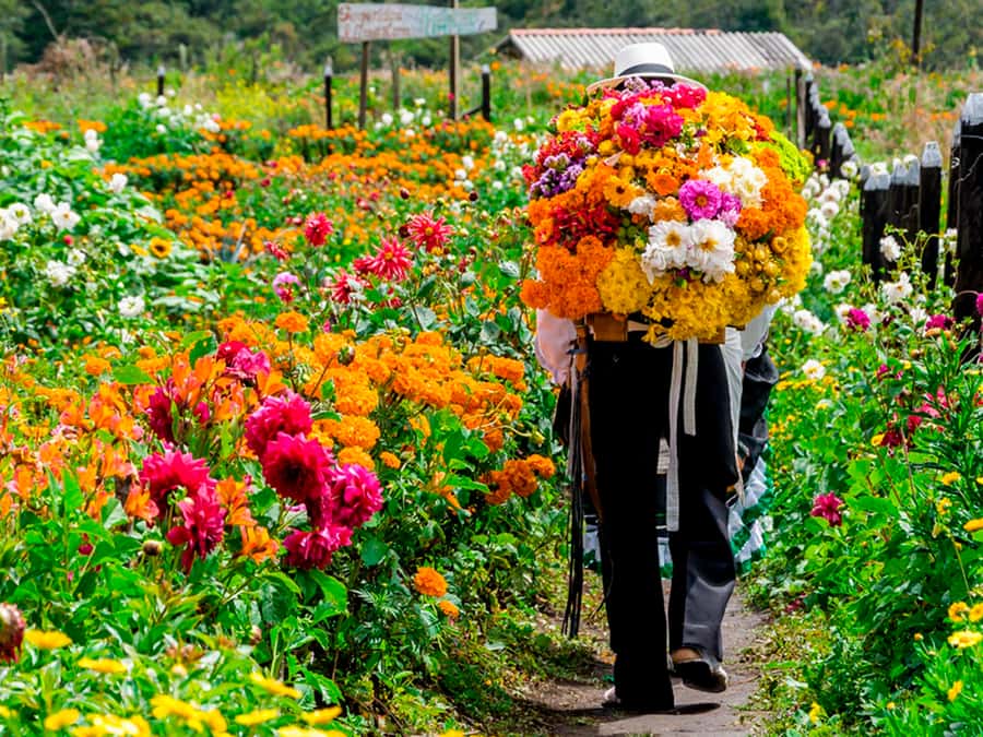 Medellín: Flower Farm & Silletero History Tour - Getting ready at the pickup point in Medellín