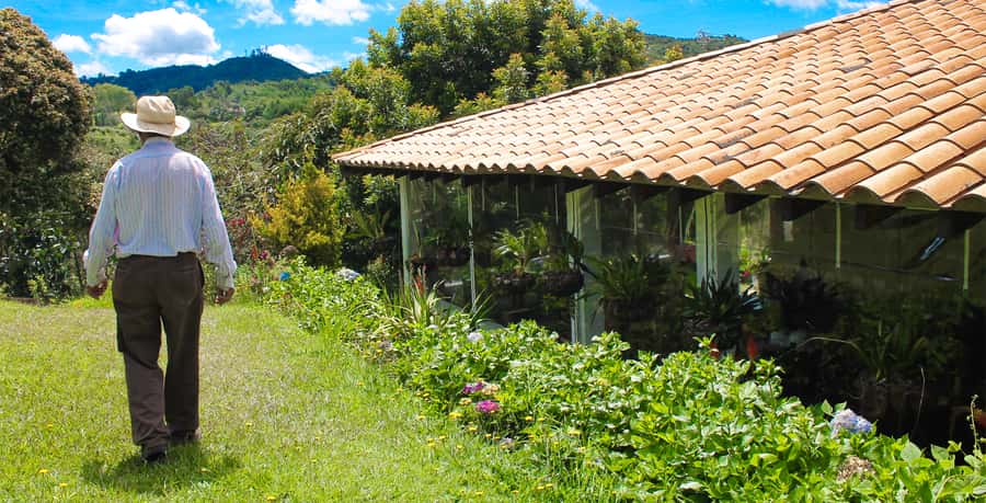 Medellín: Flower Farm & Silletero History Tour - Timing, transport, and what a four-hour window really means