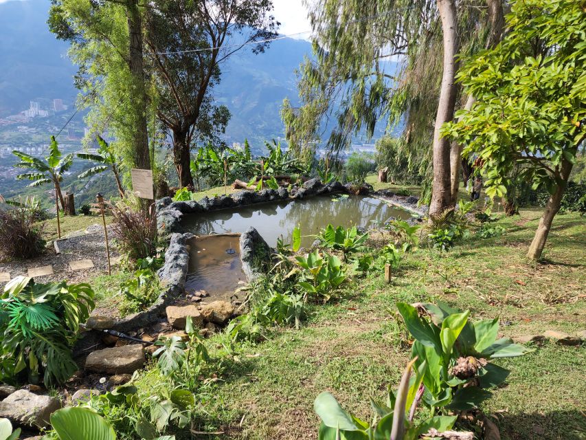 Medellin: Glamping Spa and coffee tour Experience - Coffee day starts with breakfast, then the farm work