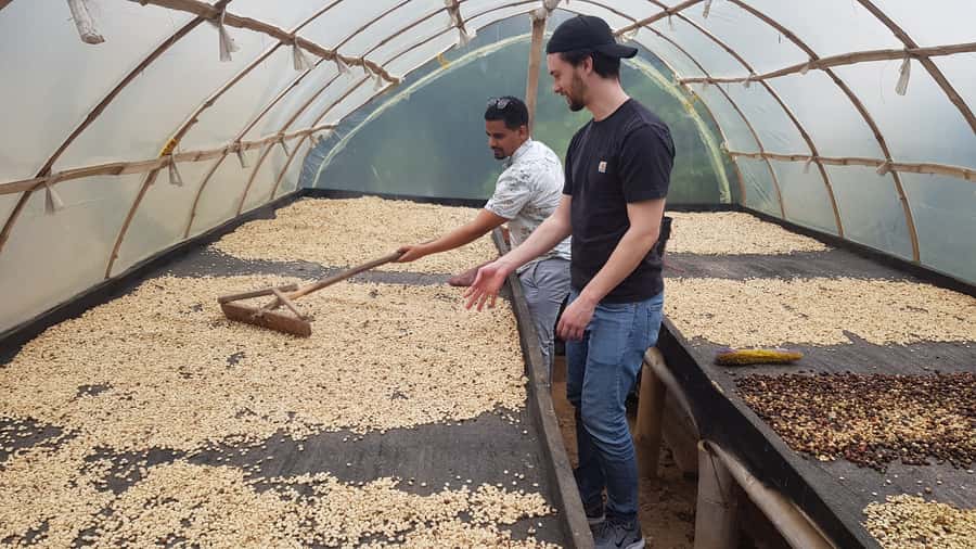 Medellin: Guatape, El Peñol Coffee Farm Private Tour & Fruit - Why Guatapé and El Peñol Feel Like Two Different Worlds in One Day