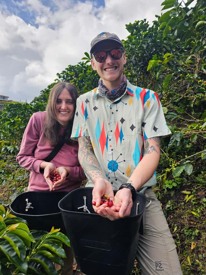 Medellin: Guatape, El Peñol Coffee Farm Private Tour & Fruit - Price and Logistics: What $169 Covers, and What You Still Need to Budget
