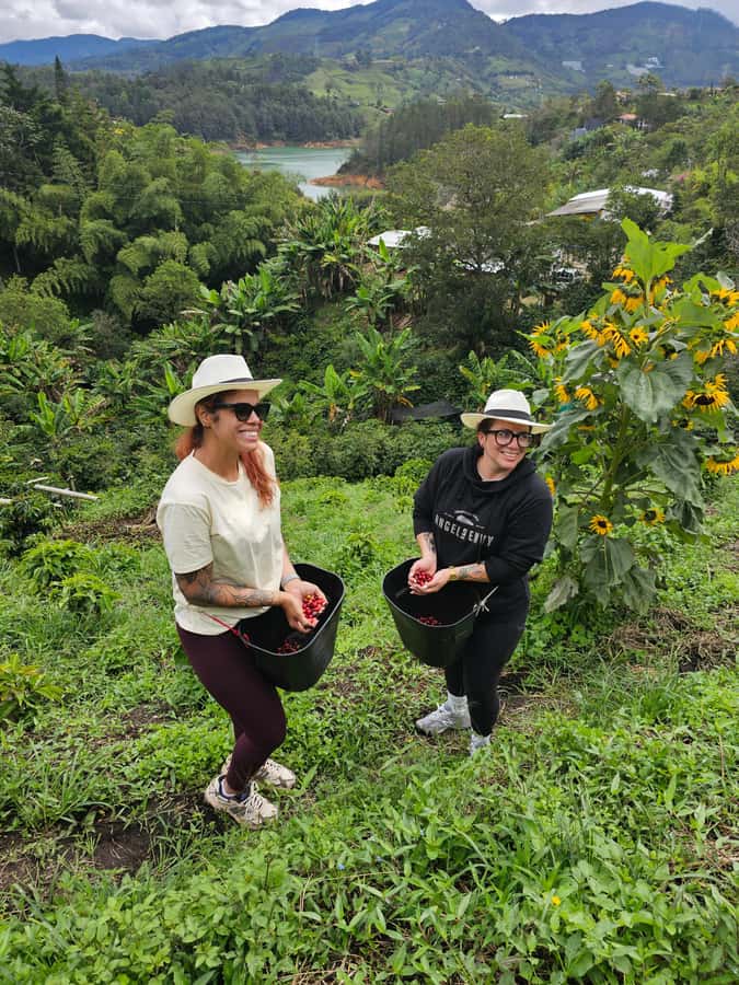 Medellin: Guatape, El Peñol Coffee Farm Private Tour & Fruit - Book It or Skip It: My Practical Recommendation