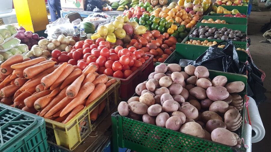 Medellin: Guatape, El Peñol Coffee Farm Private Tour & Fruit - FAQ