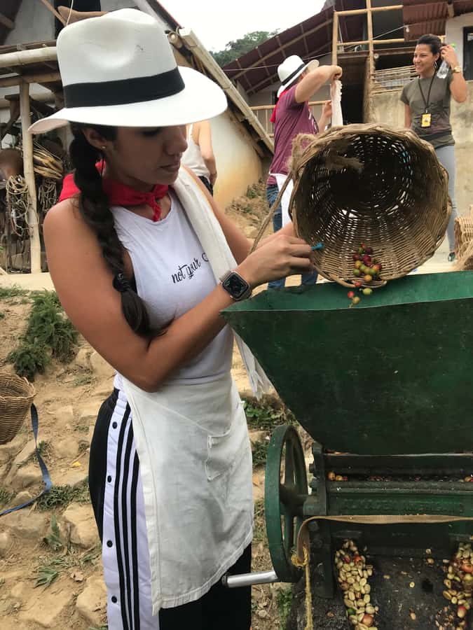 Medellín: Guatape Village with Coffee and Fruit Tasting Tour - Price and value: why $174 can feel either fair or tight
