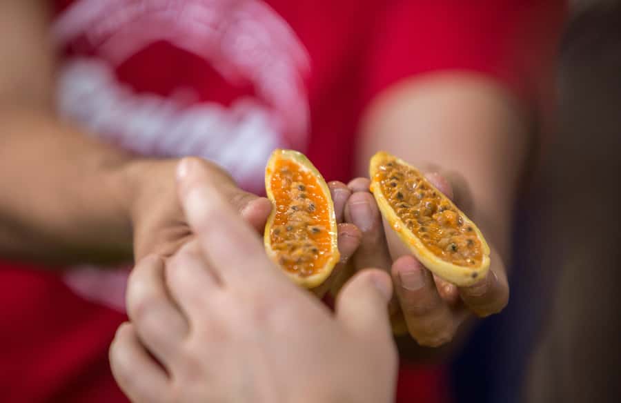 Medellín: Guided Exotic Fruits Tour - Pacing, Walking, and Group Size in 150 Minutes
