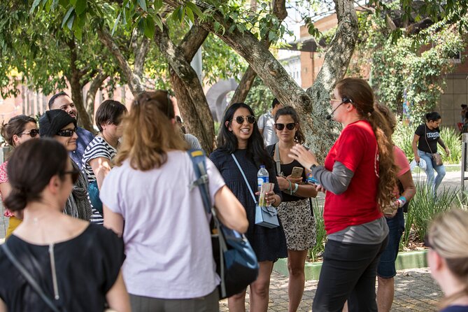 Medellin Historic Walking Tour with Expert Guide - Price and value: what $16 covers (and why it is fair)
