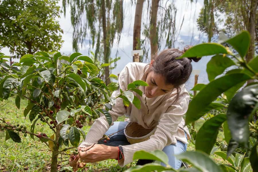 Medellin: Horseback Riding Coffee Farm Tour with Coffee Spa - Key points worth knowing