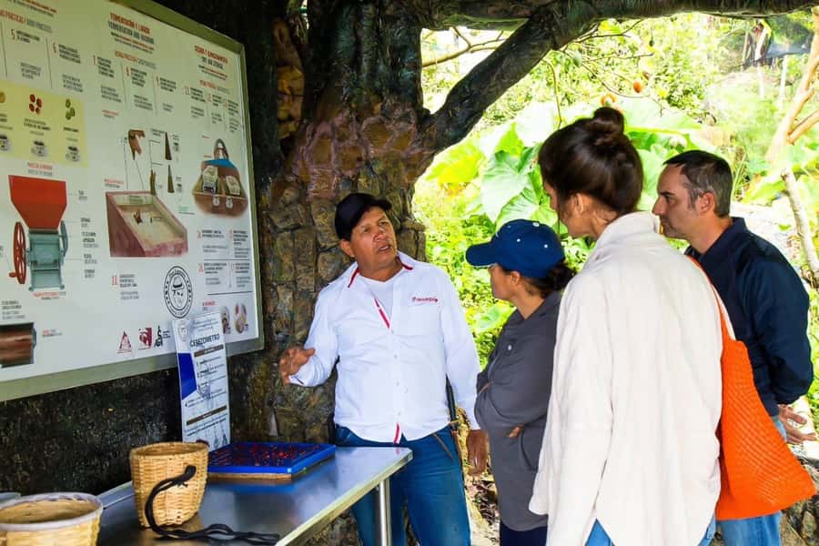 Medellin: Horseback Riding Coffee Farm Tour with Coffee Spa - Should You Book the Medellín Don Leandro Horseback and Coffee Spa Tour?
