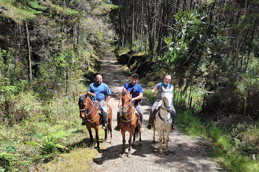 Medellin: Horseback Riding Coffee Farm Tour with Coffee Spa - Starting at Arví, the Views Begin Before the Horse Does